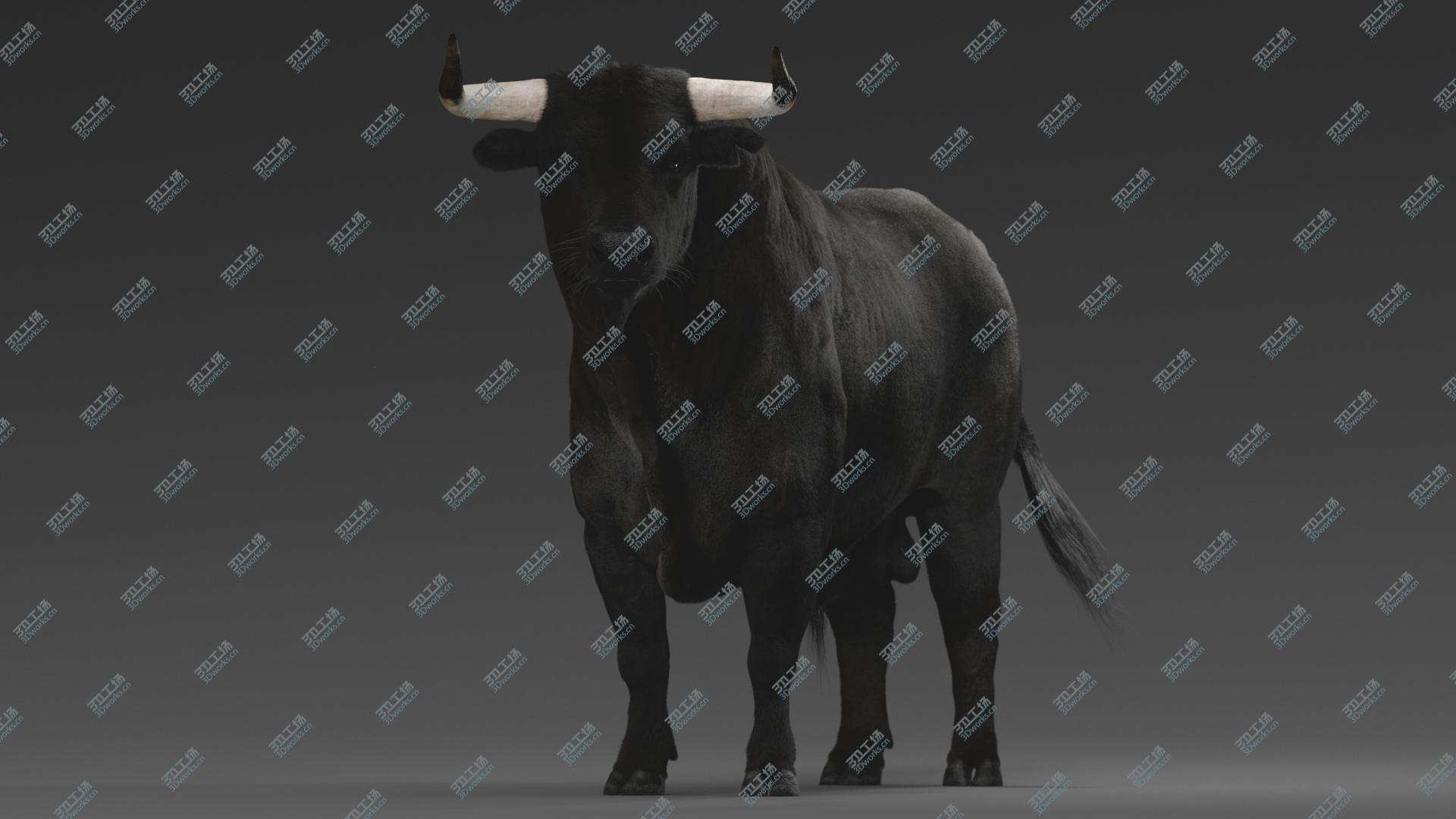 images/goods_img/202104021/3D Bull RIGGED/2.jpg